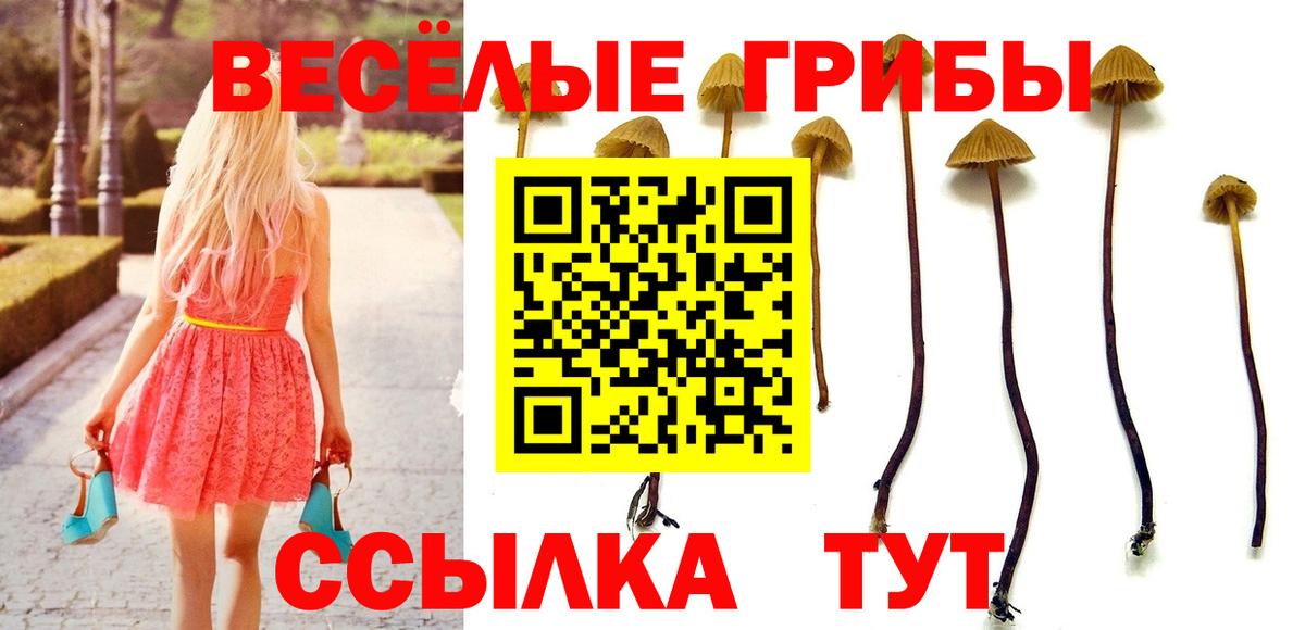 Псилоцибиновые грибы Cubensis Урай